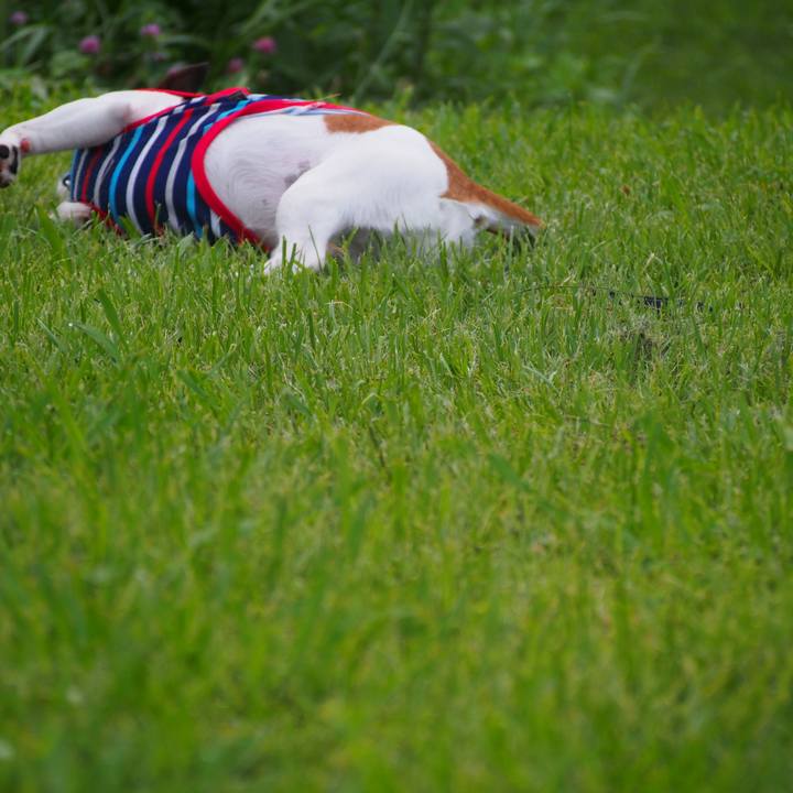 164d48d3 3847 45a4 860c f3af6278e750