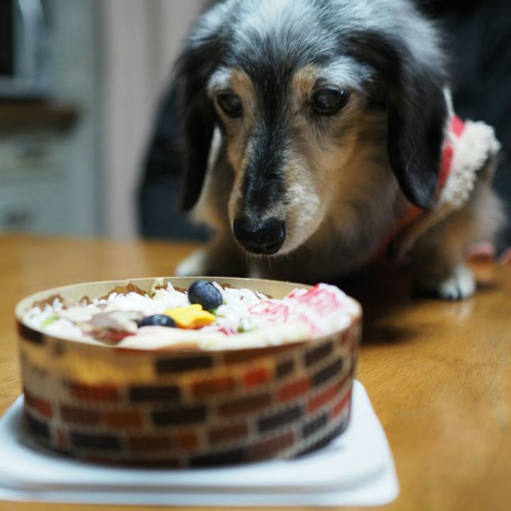 164d745d b576 48ee 8c61 45256949aef7