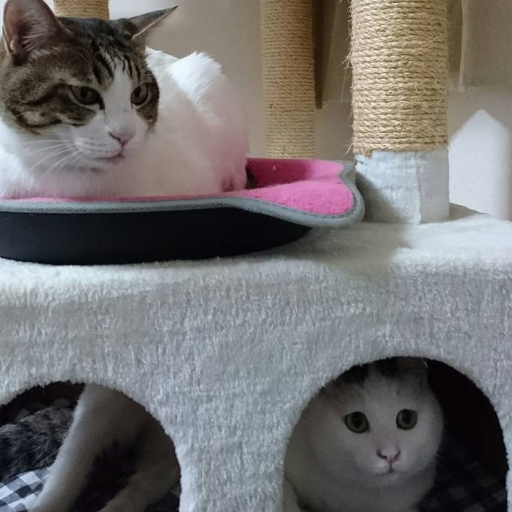 164d8032 f7ac 4f13 a72f 4c142eb958f2