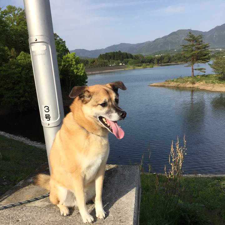 164e9b01 ba8a 4630 a5bc fdeb8683f0f9