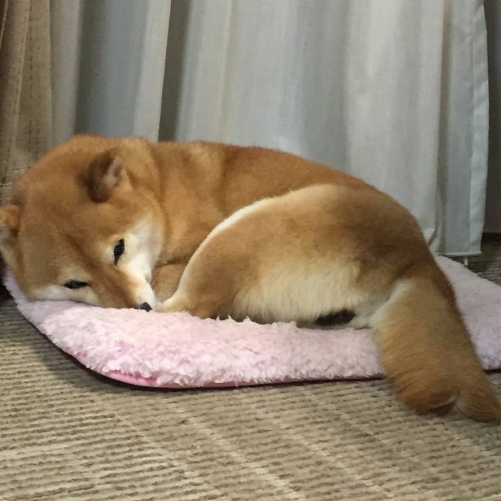 164f02d9 e060 4b7d b9e3 73b0619a5faa