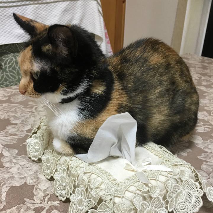 164f58f3 5091 4a8c b50d 8994a134c56c