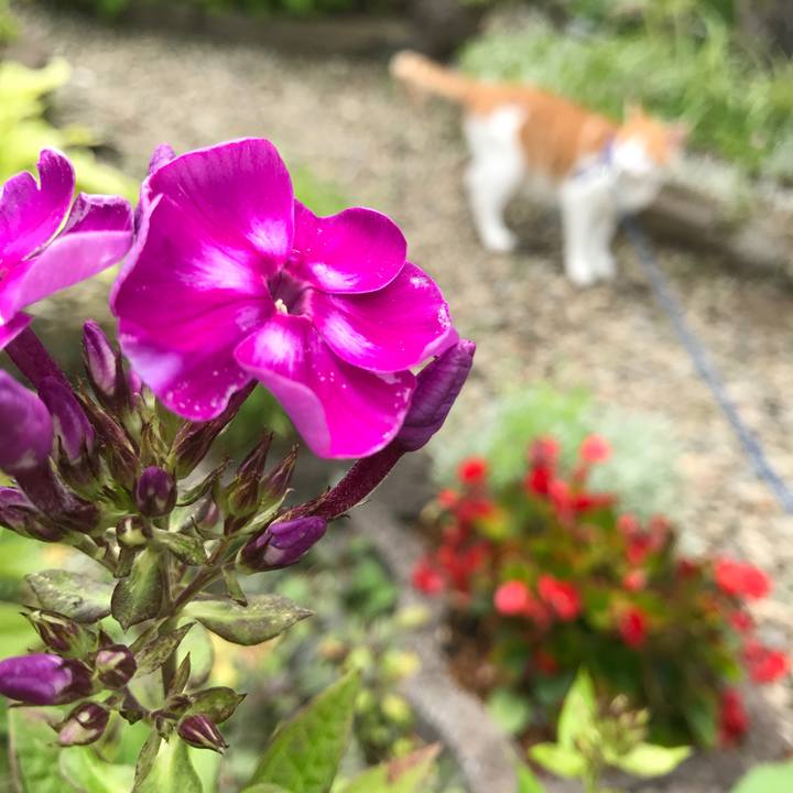 164f9615 ec88 471a bec8 ad313a820256