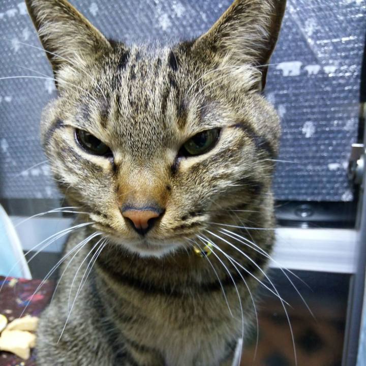 164fba31 ef66 487d 8cc8 43bcc070a55d