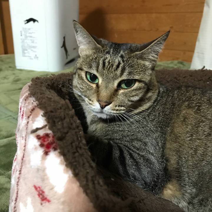 165002d9 8963 4acf 9d40 2ec8eec8b461