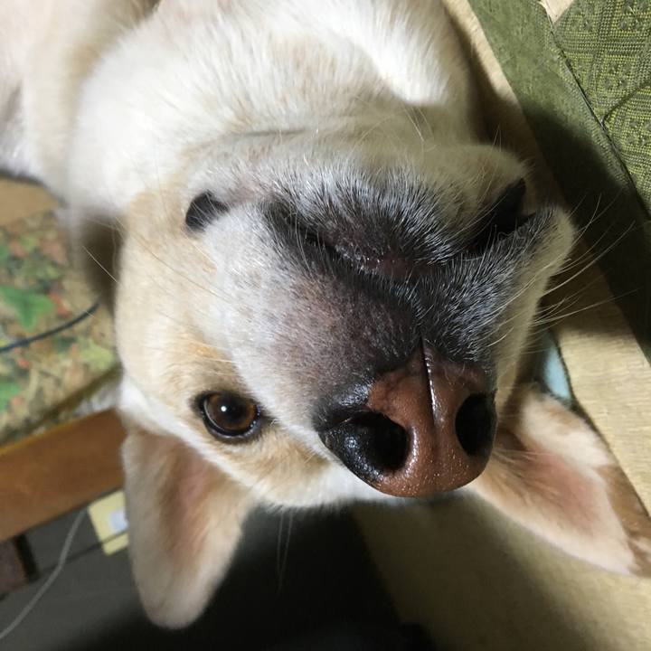 165033c2 d374 433d 96bc 66016f5377cc