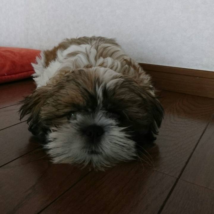 16504fcd f32c 44f9 861d d3a562b6561c