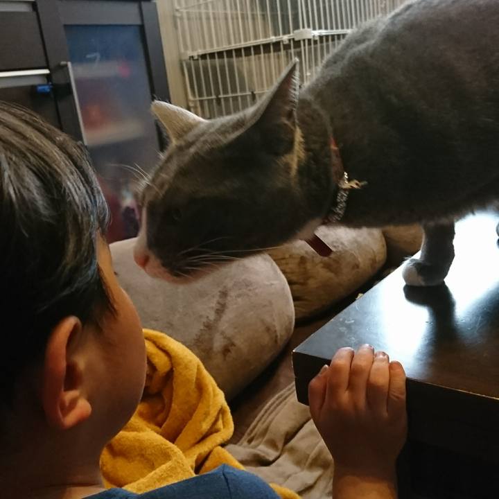 16505c64 72fb 487c a839 7e4d9c16538a