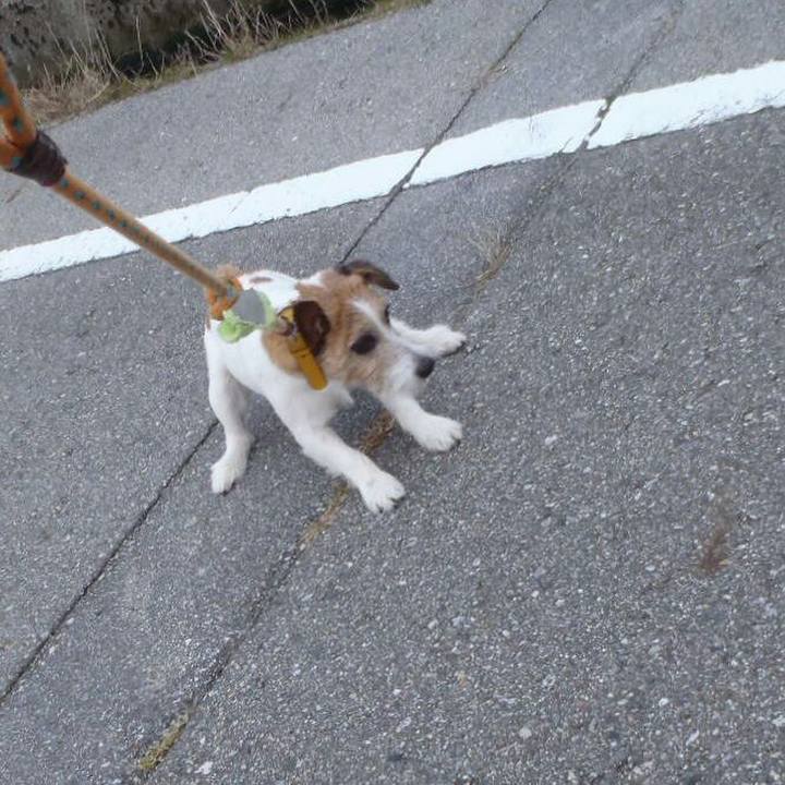 16506782 622f 4806 8338 568ce6dbd769