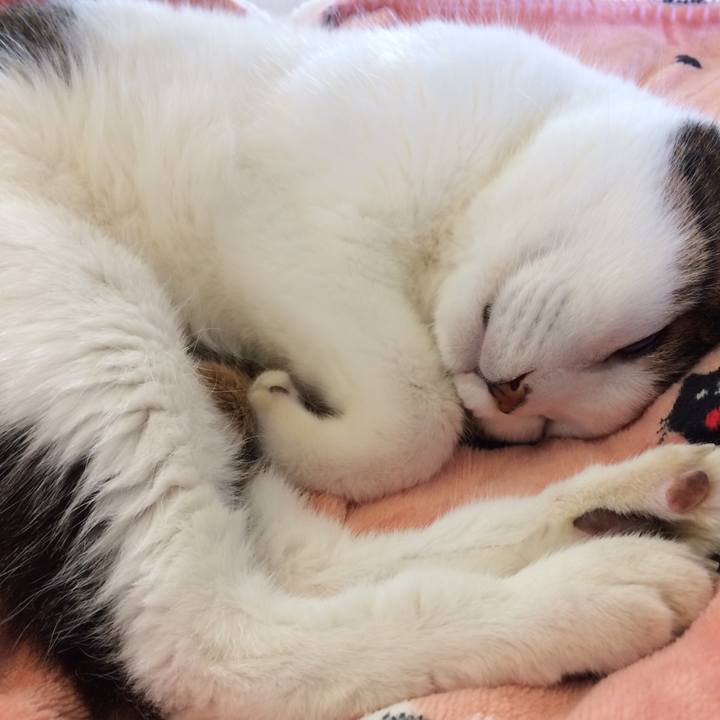 1650bb8f 9f04 4d4c a368 9d8ea931b7e0