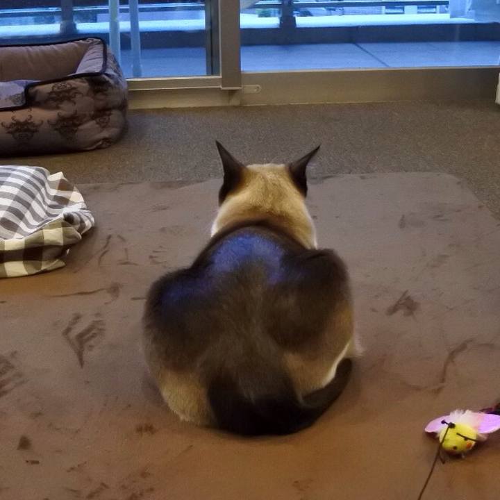 1650bc1a 553a 45c6 9507 cb1a2b2e6fc6