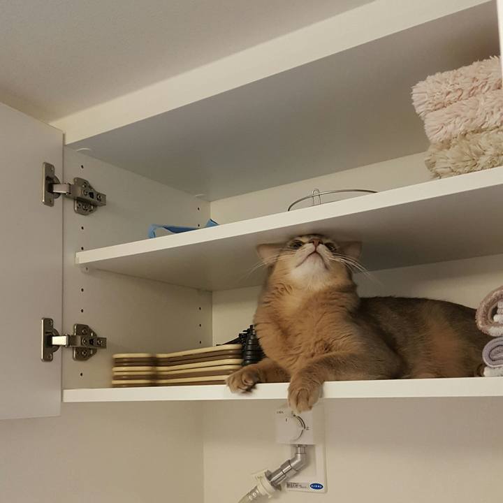 1650cb93 bdae 4551 a8a3 5859757868ff