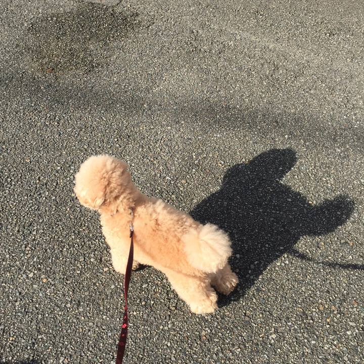 165128ea b535 4e26 adb4 e7b6ab8c6d54