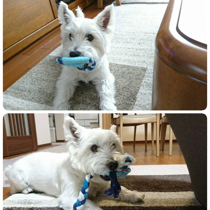 16518b56 8b78 4917 97f6 499f3435455d