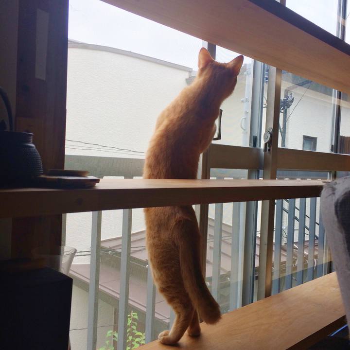 1651fa07 05f8 46fb 8e18 6e4c6494ce30