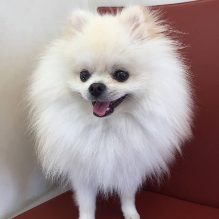 16523568 2311 40c0 b520 61b67de3668d