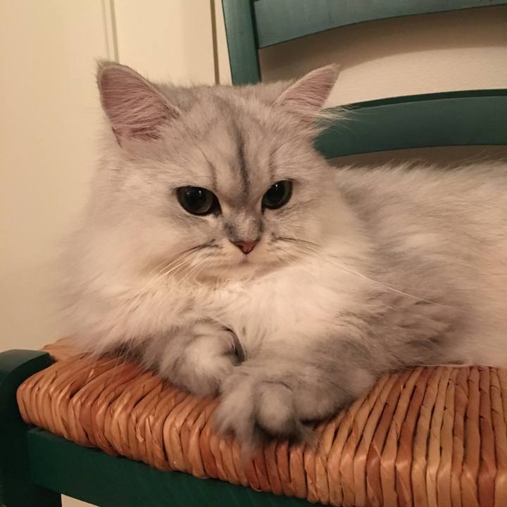 1652bb06 908e 48c2 9894 a38d69279439