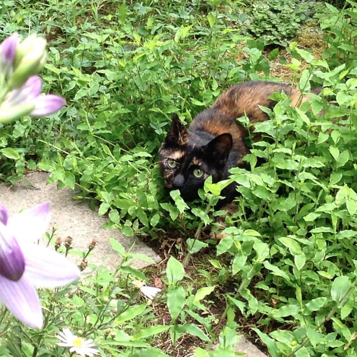 1652bbe7 5ca8 4e85 905d 18190ccf92e8