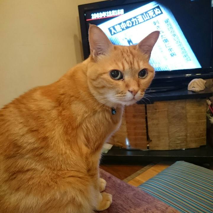 1653a351 275b 4e2d 8f74 59519d377cd1