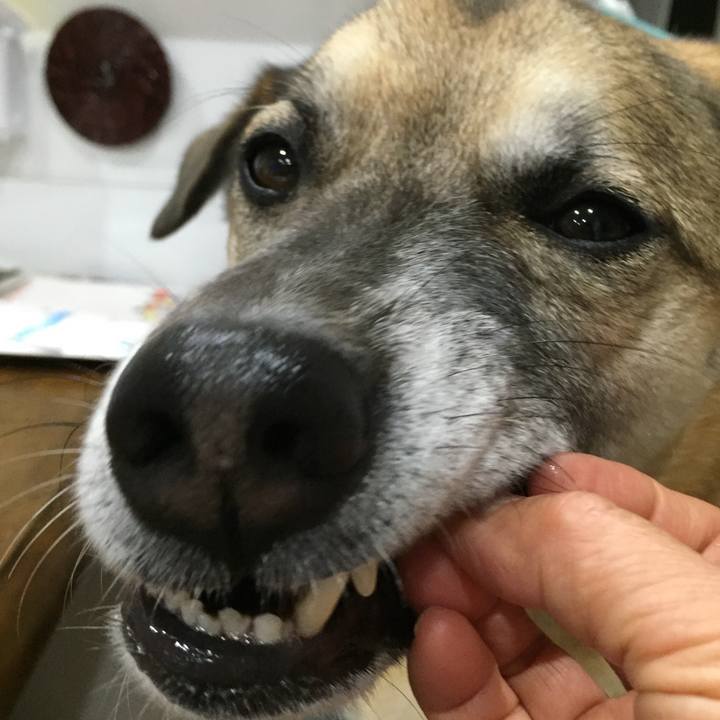 1653b913 3a75 4025 93b5 a11421511697