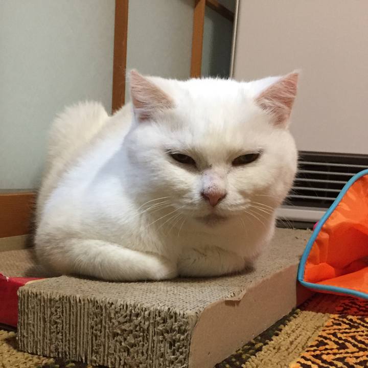 1654892d 5f55 4a1c b005 7bdbc44ad611