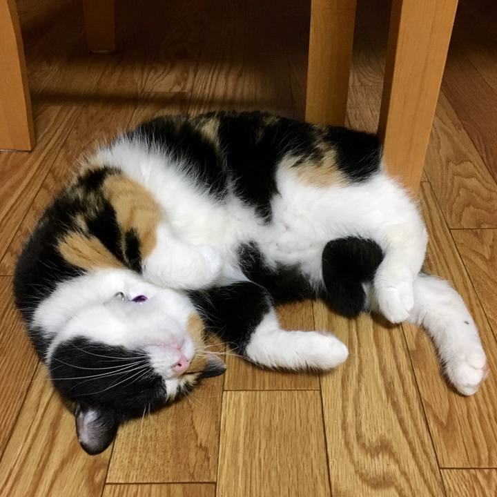 16551001 de49 4a1f b16f b606e610aec8