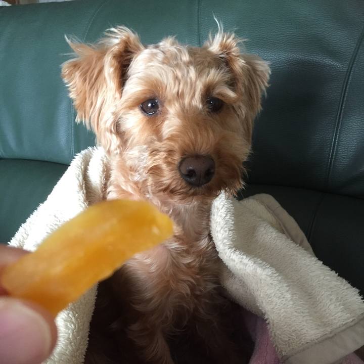 165528cc 04c0 48e8 8d74 e4e8ca66b6bd