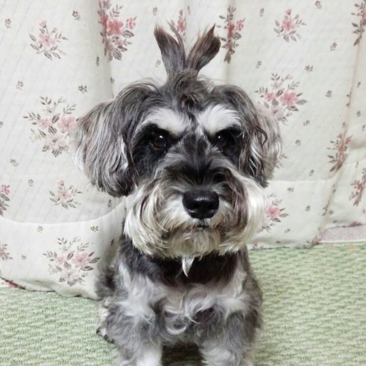 1655c2cf dc0f 4c91 8bcf 852c119a0ba6