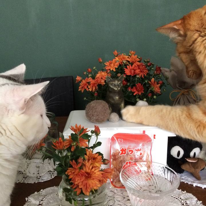 1655f328 e4d1 4c89 a39c f4dccc768a8c