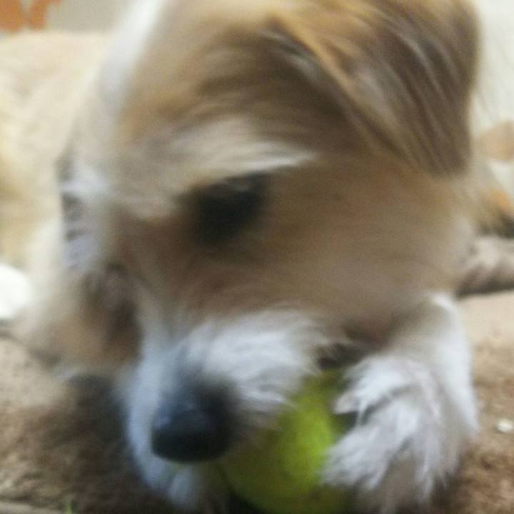 16560cf0 0b95 45fe a3d5 c5545ea4f79c