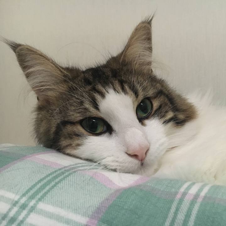 1656a82e 1802 448b 96e6 76c28a9de7cd