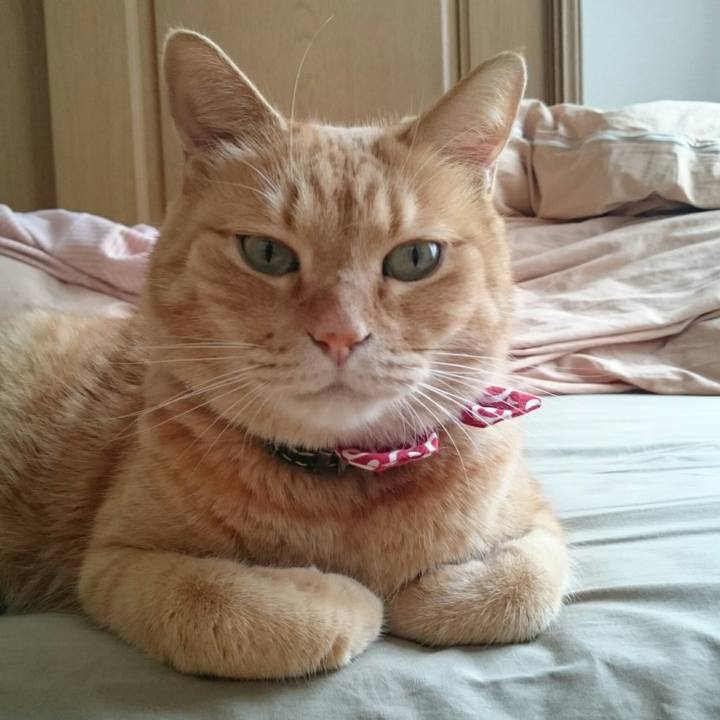 165802ac 4afe 4357 b8e7 82e158617cc4