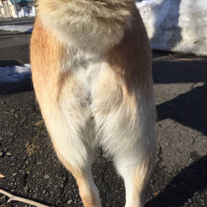 1658acd0 1da9 4397 94f6 ffefcd835e08