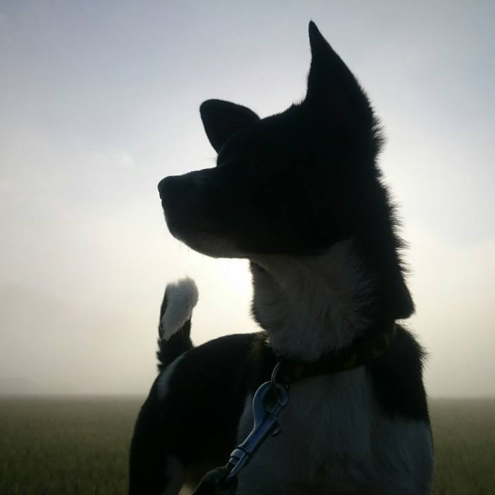 165a1aad 39b3 4d78 b7da 9b7f7d2f8aac