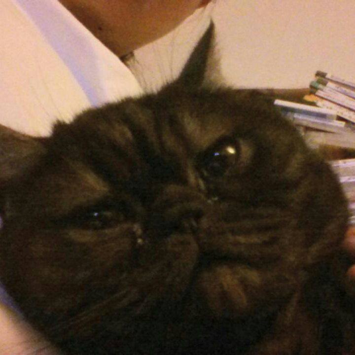 165a7d77 0b2c 4a04 b579 cc36313968ec