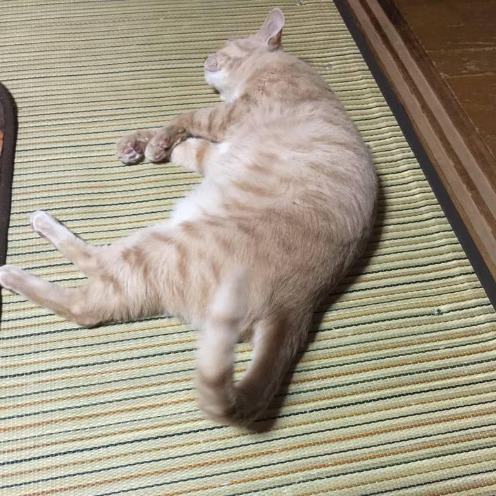 165b085e 3c89 4de5 ae84 1e4fadbef511