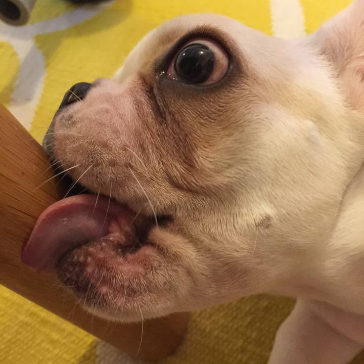 165b1c4e dda1 46b2 a421 b3bef30ec39d