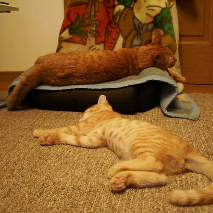 165b31cd a150 424e 8d40 3e84c3d710df