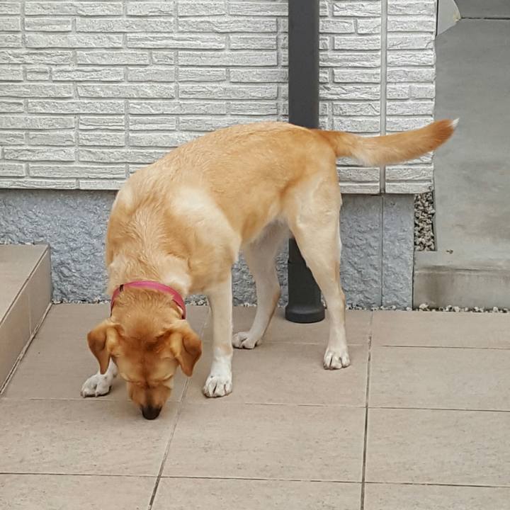 165b7a89 ecd0 424b 9af6 934c1e4a5a9d