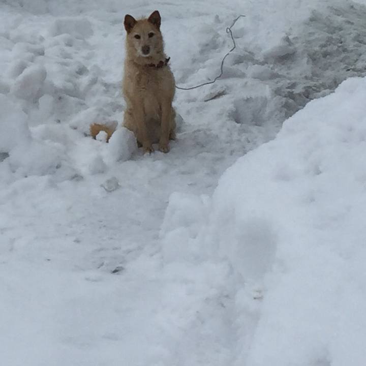 165bca95 a140 43bc ae04 390a76818d96