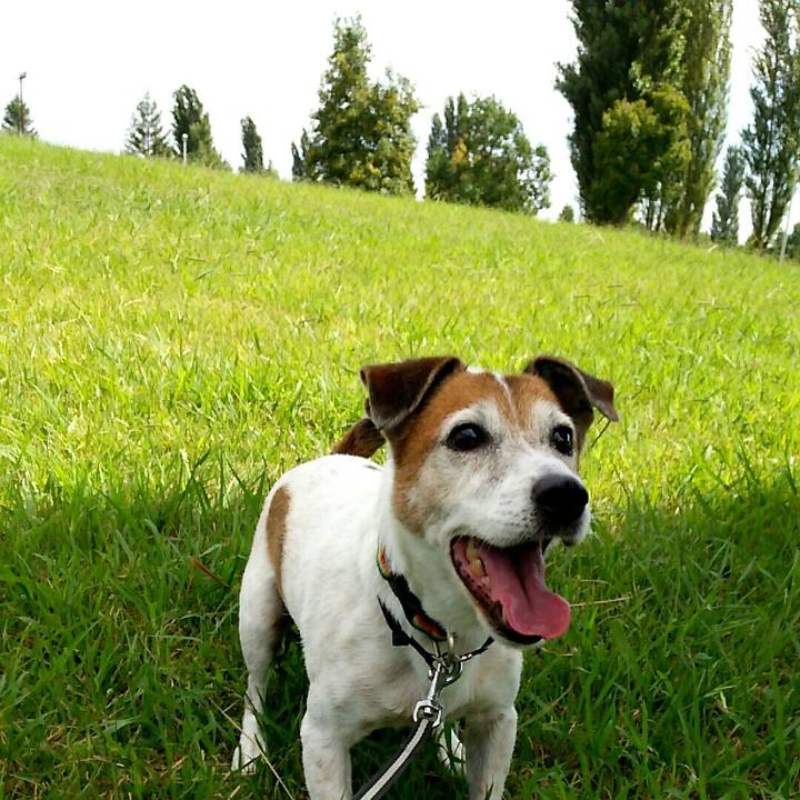 165c17b0 5236 408a 8cd0 f32a22701767