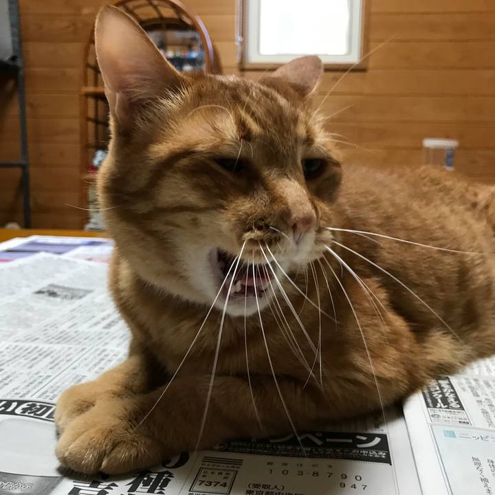 165c8635 0cc8 4303 b59b 6b2fd557568e