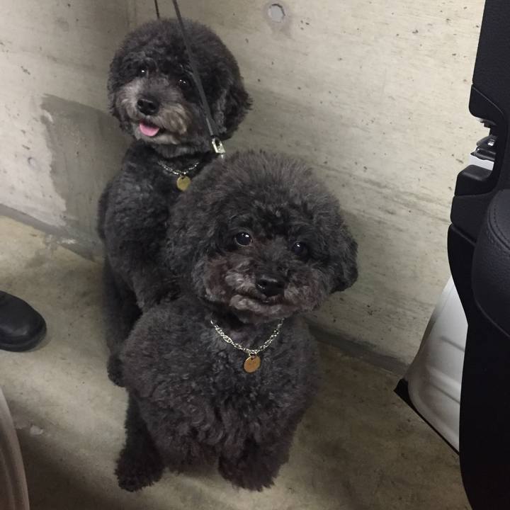 165cca0d 7535 4636 8091 28ab3a47a73f