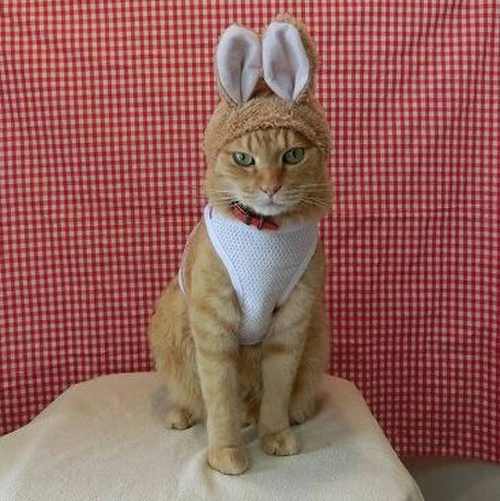 165d29ff 9c0a 48a3 8373 2b694c47916a