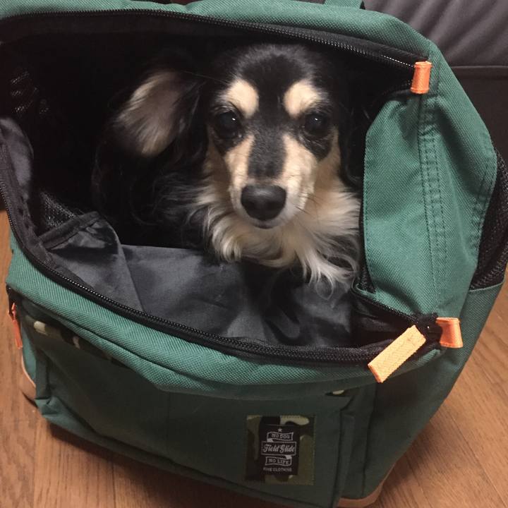 165d5936 e201 4364 bde7 1c32b570e0a2