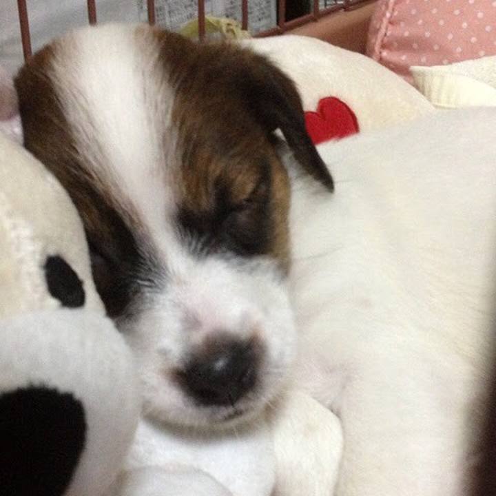 165d9fa6 98f8 44ea 97f6 82ab447624a6