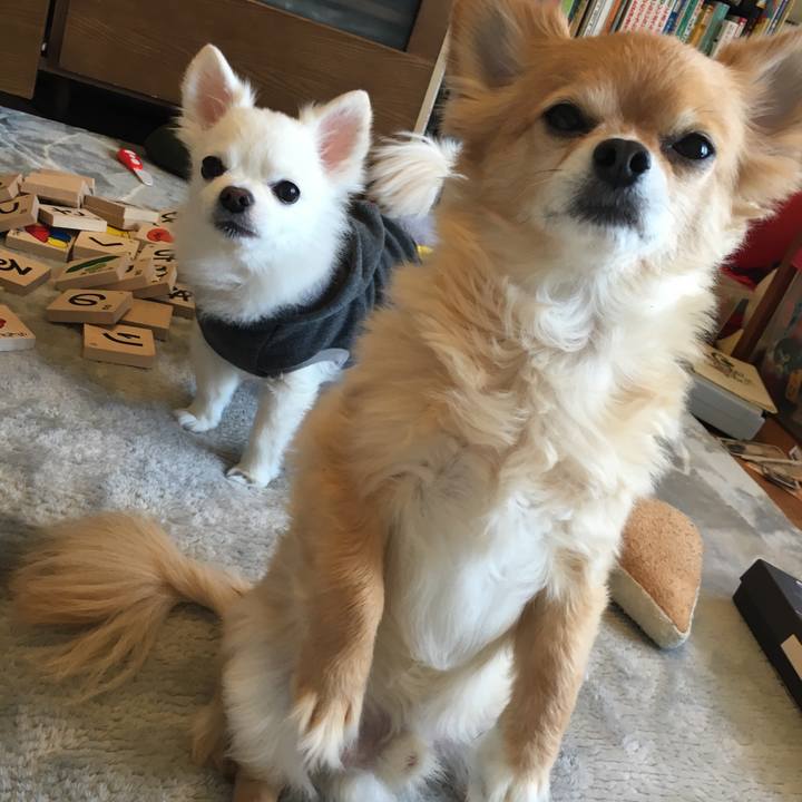 165df25b 039a 49f8 8883 fd5fc49f4ff3