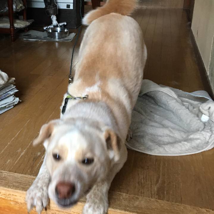 165df4e9 8f1a 4b91 a1d2 427de804e47b