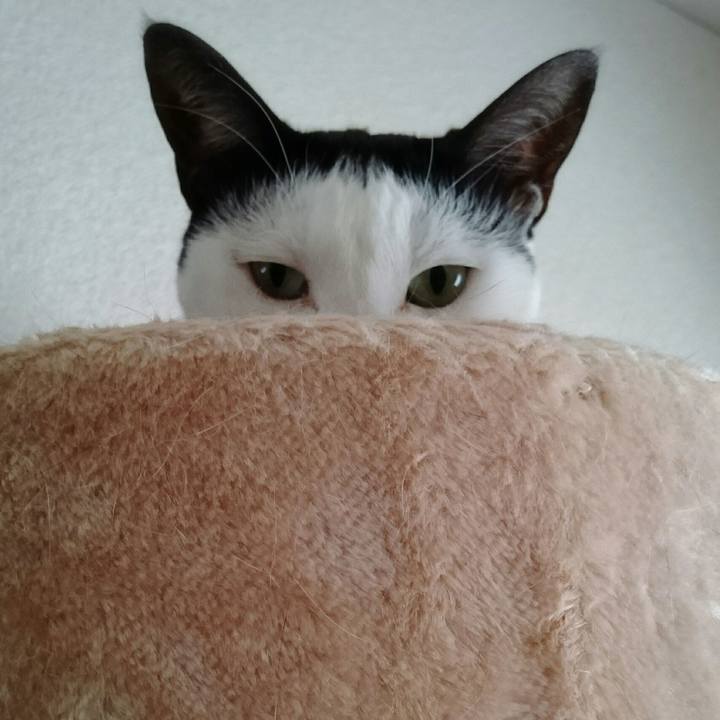 165f038e a28d 467d ae90 af07e81cf488