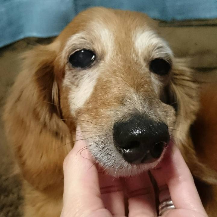 165f2c3e 5b81 48c0 9d3f 23380449e999